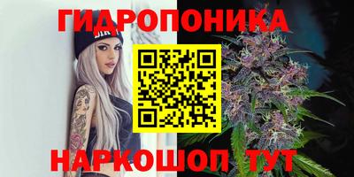 спиды Ипатово