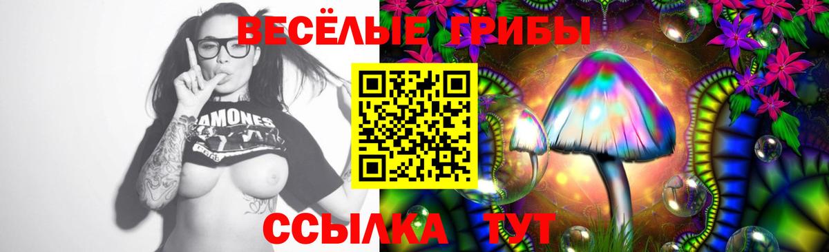 Псилоцибиновые грибы мухоморы  Псилоцибиновые грибы Cubensis  Мирный 